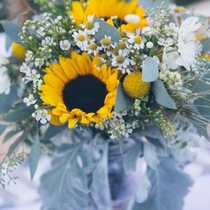 Meet your Posher, Virginia